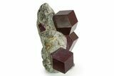 Impressive Almandine Garnets in Schist - Italy #352075-3